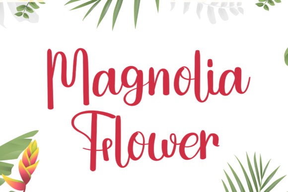 Finding Magnolia Flower: A Designer's Journey with a Script Font