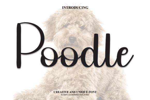 Poodle: A Handwritten Font for Editorial Warmth