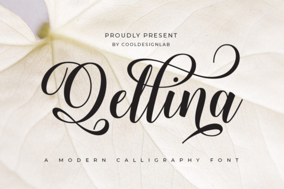 Qellina: A Chic Script Font for Maker-Proven Projects