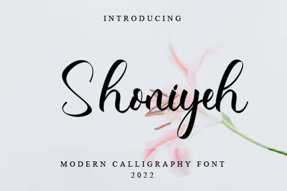 Shoniyeh: A Modern Script Font for Distinctive Brand Identity
